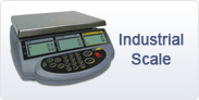 Weighing Scale,Weighing Scale Dealer,Weighing Scale Manufacturer,Weighing Scale in India